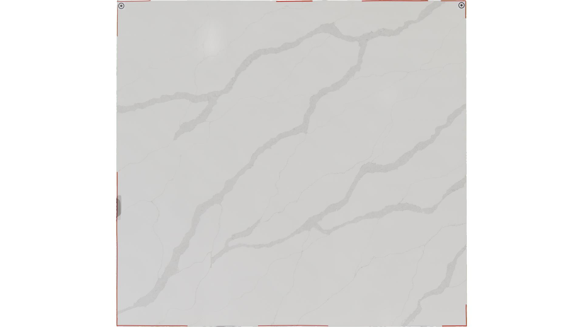 OWS Calacatta Bold Grey Ows Quartz Slabs