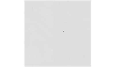 Super White Vicostone