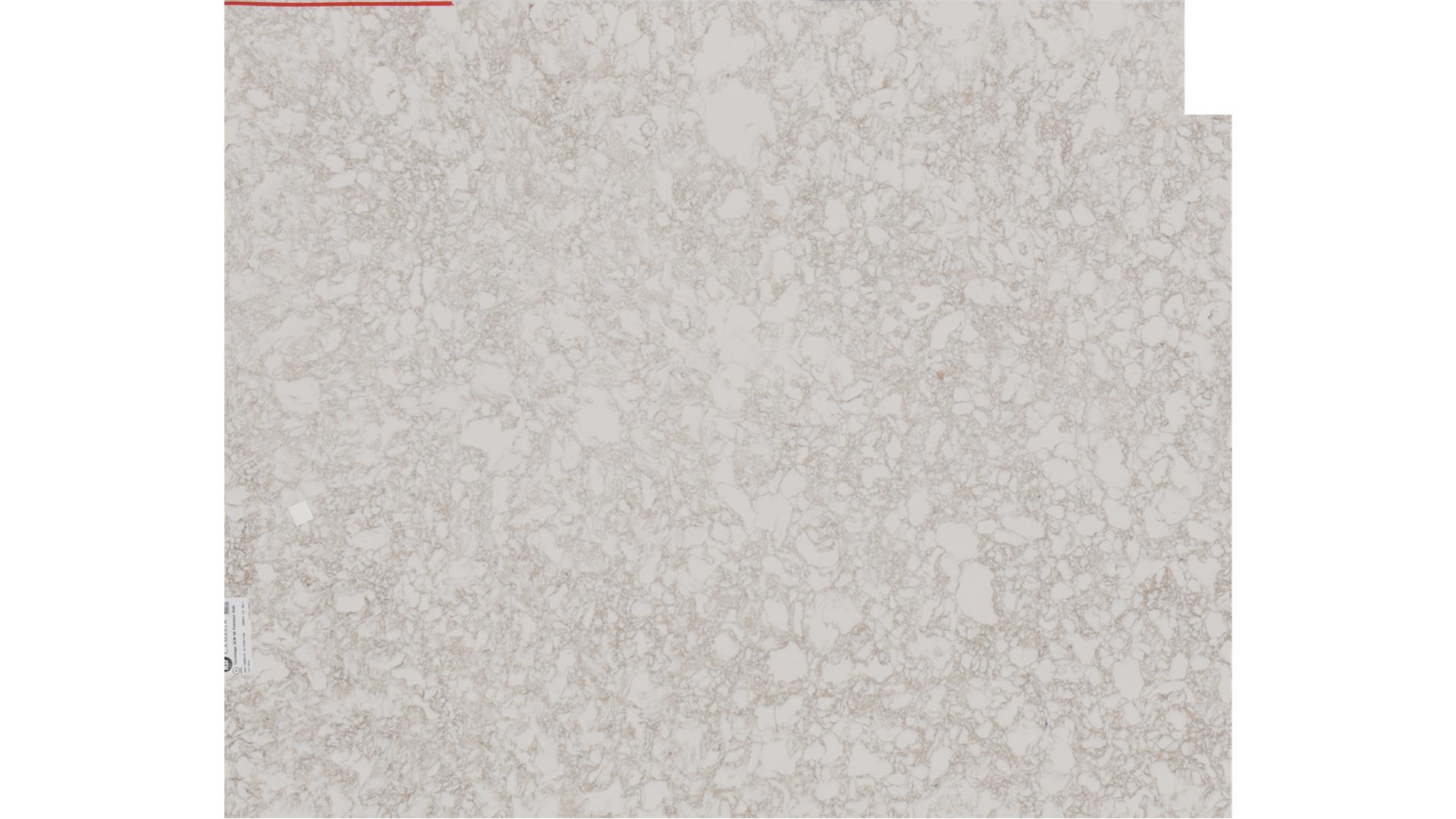 Hermitage Cambria Slabs