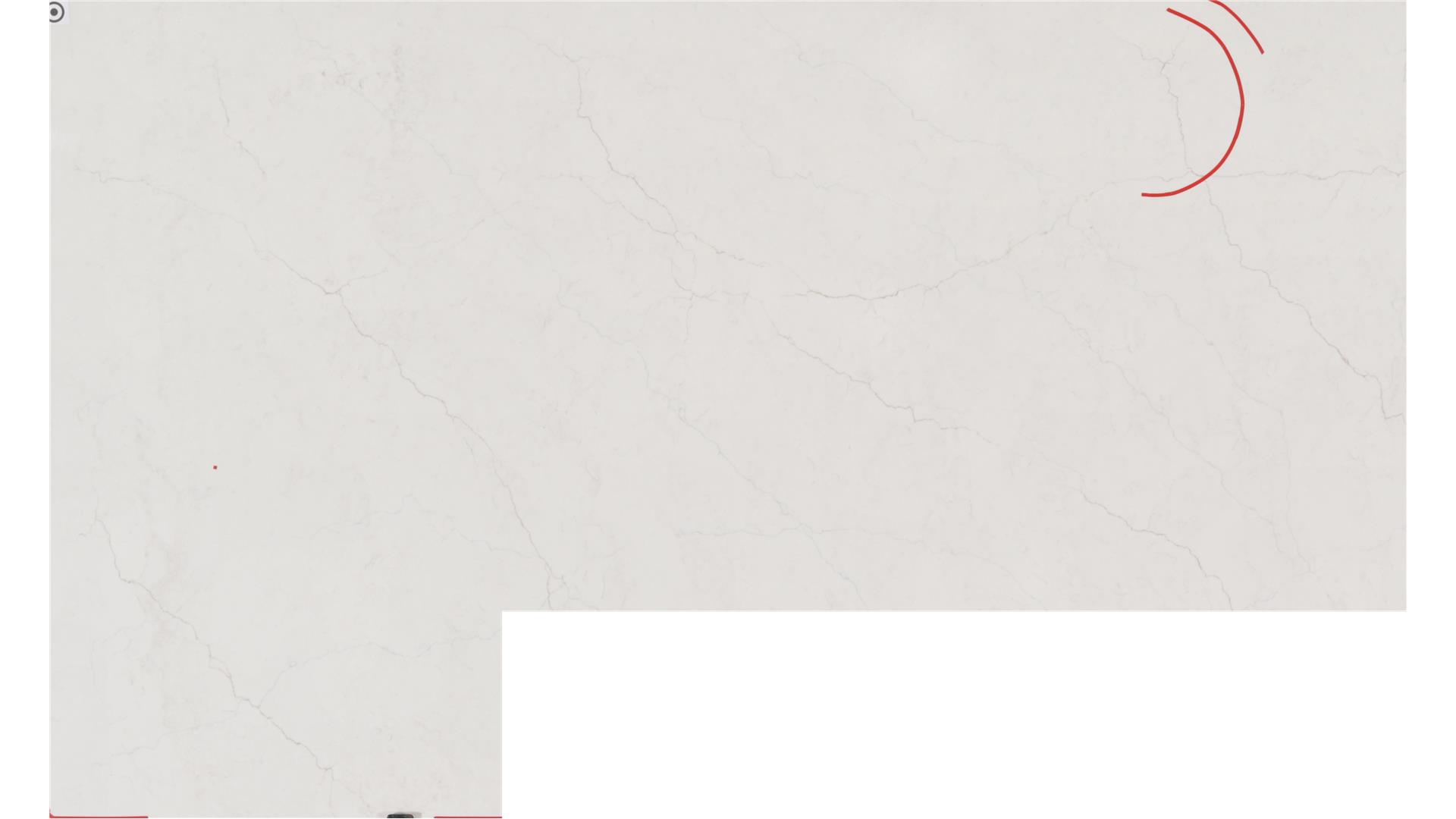 Calacatta Mirragio Duo Q Quartz Slabs