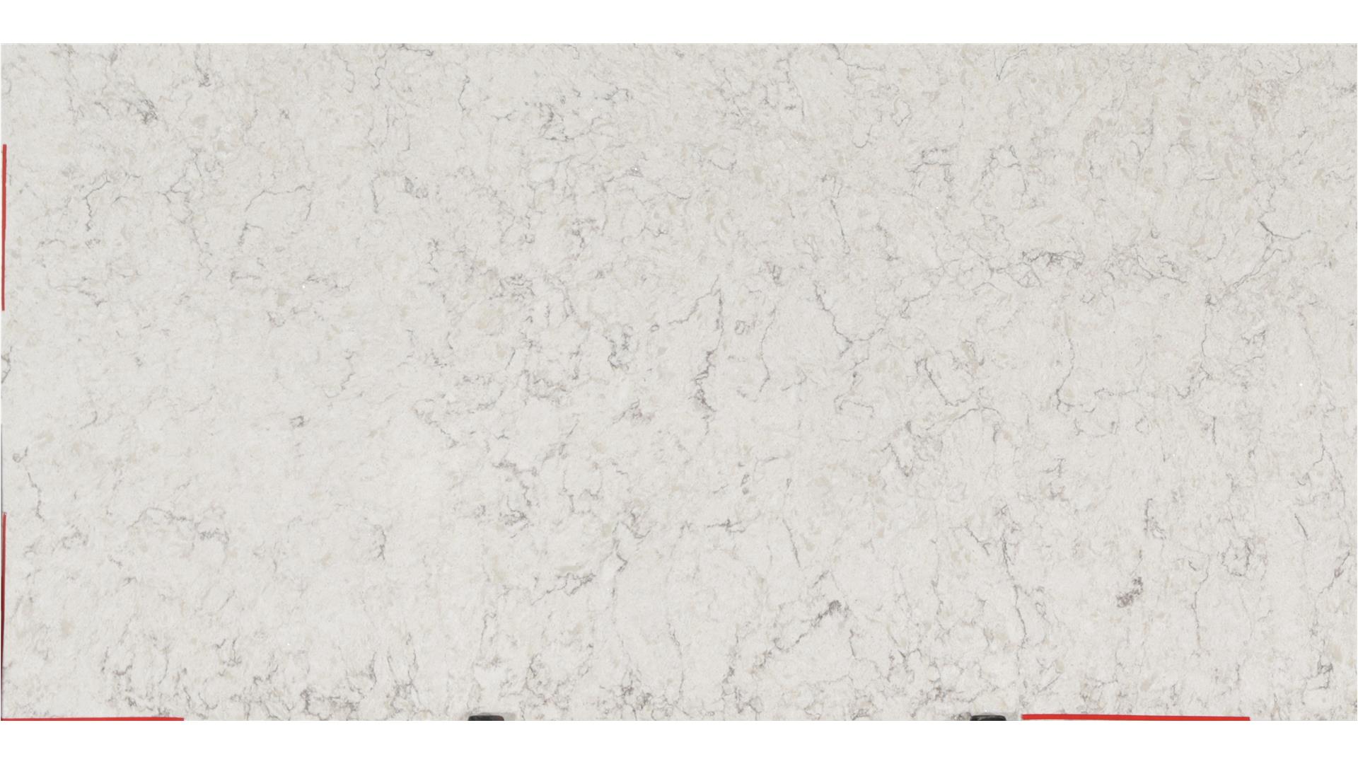 Argento Vicostone Slabs