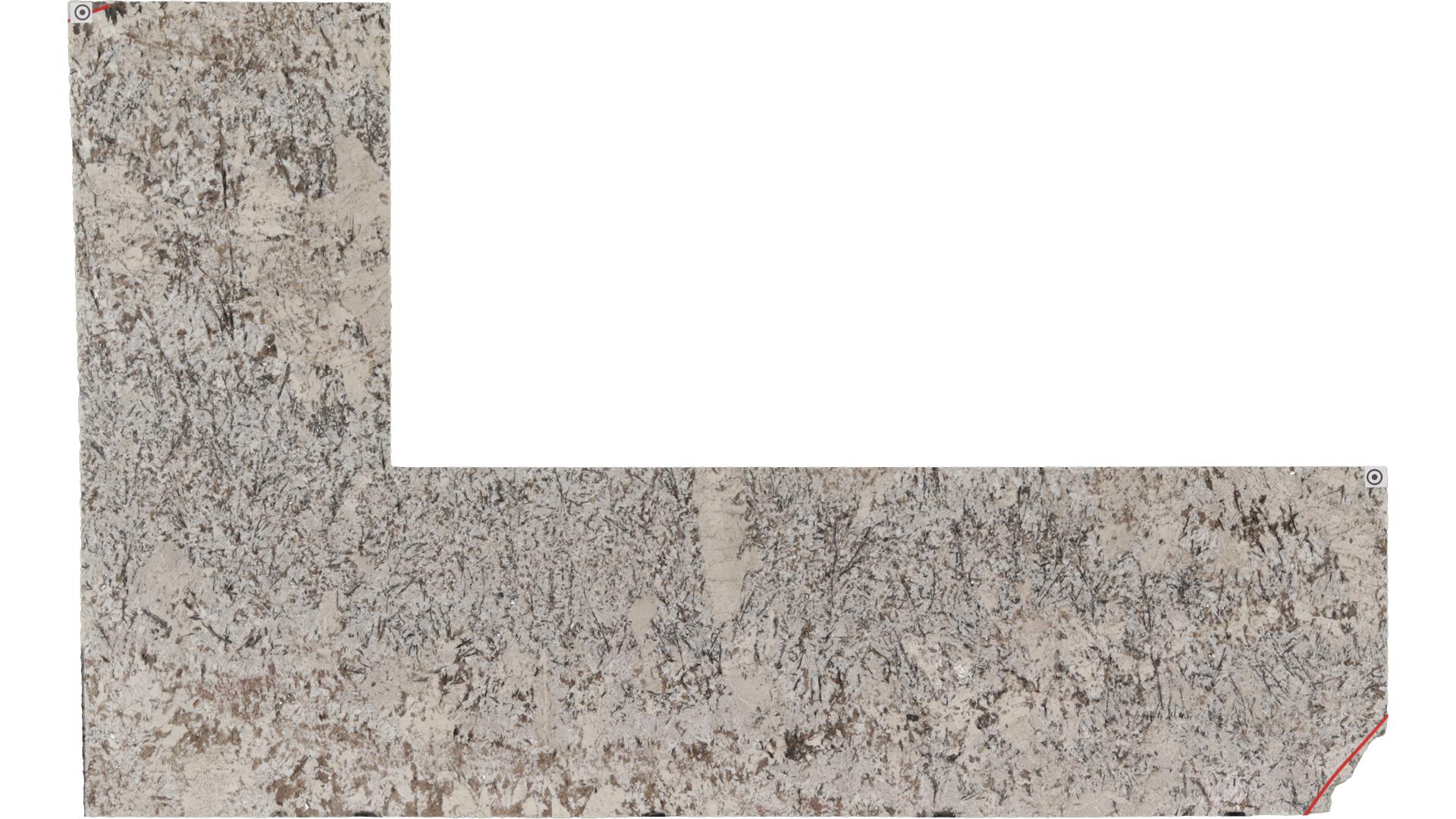 Star White Granite Slabs