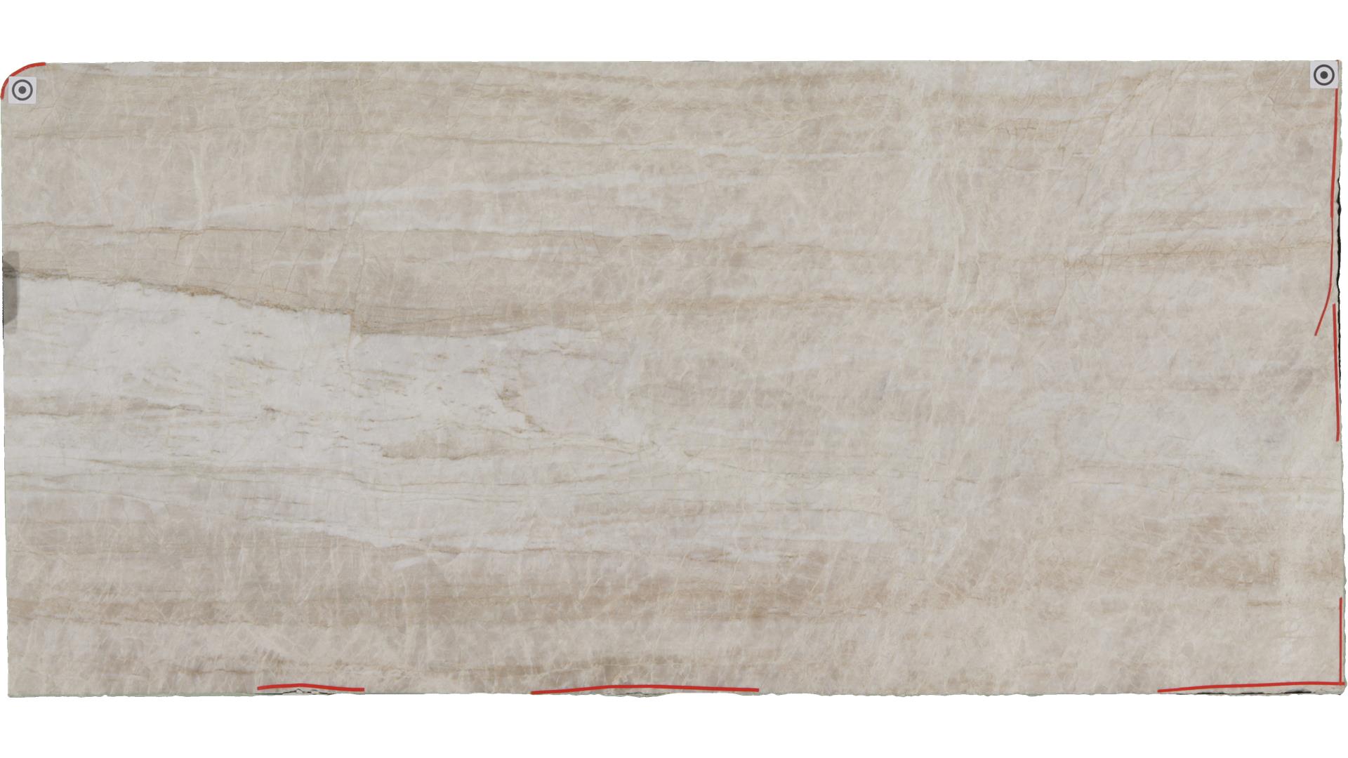 Venus Taj Mahal Quartzite Slabs