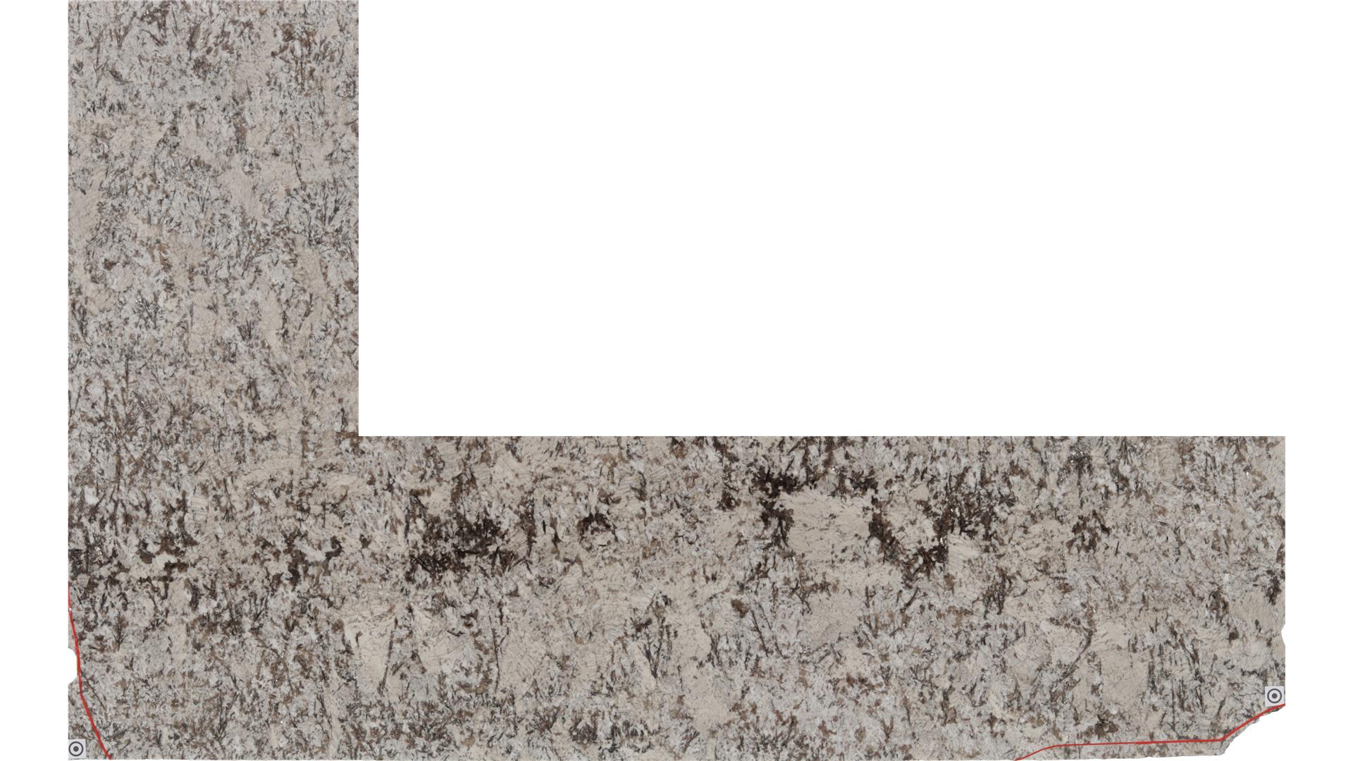 Star White Granite Slabs