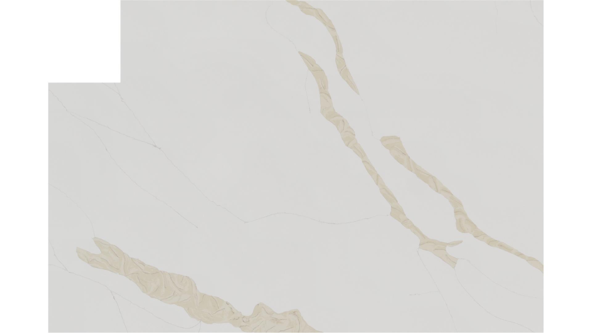 Calacatta Leon Gold Q Quartz Slabs