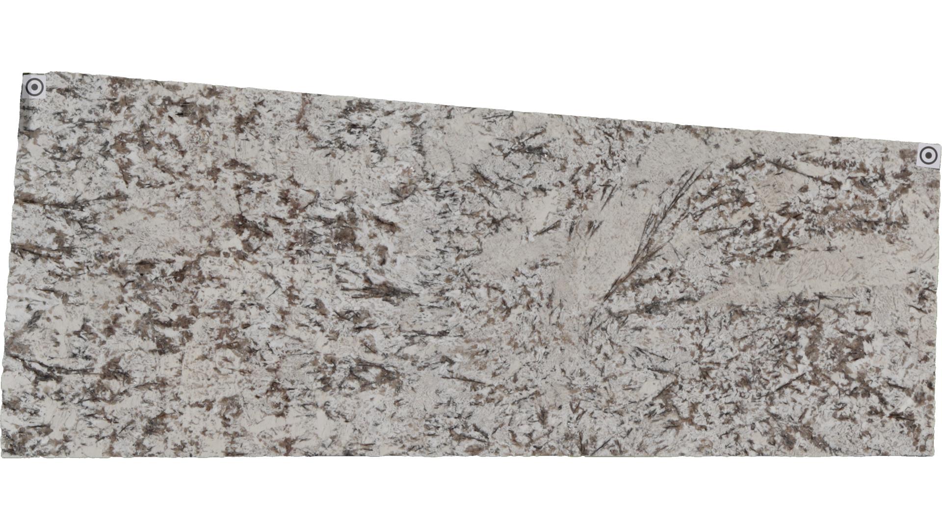 Star White Granite Slabs