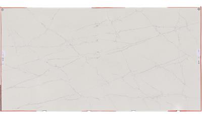 OWS Scorpio Ows Quartz