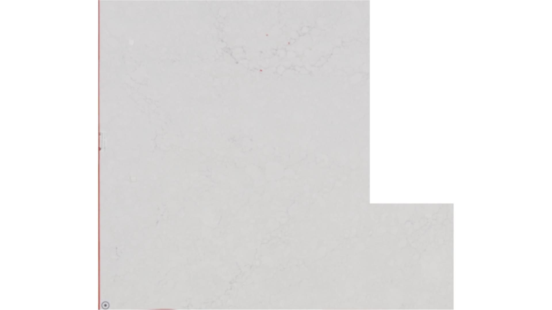 Whitendale Cambria Slabs