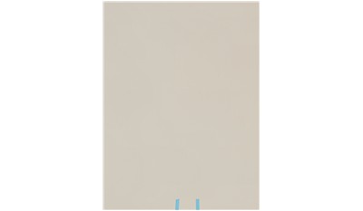 Bianco Crema Compact Surface