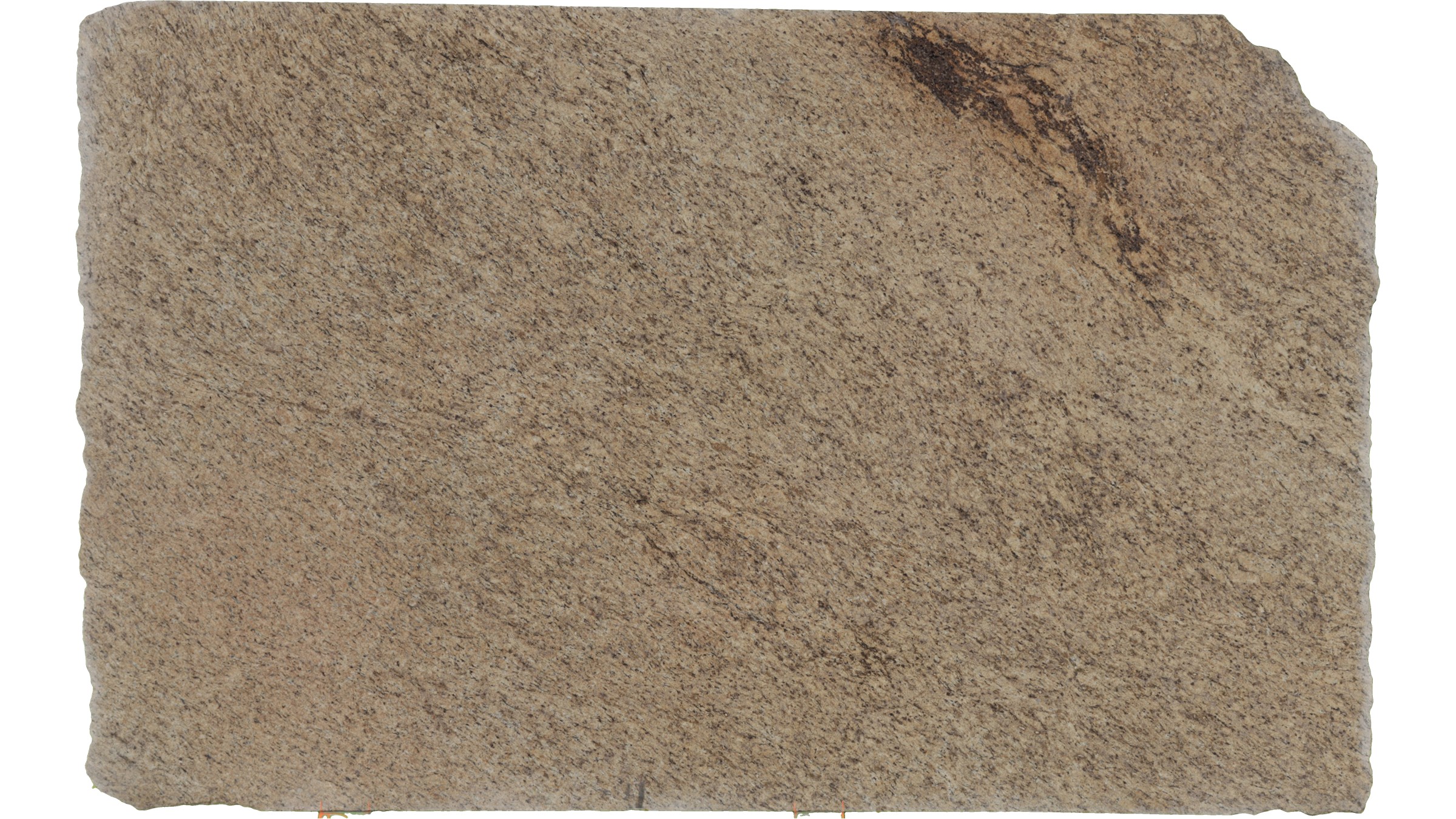 Giallo Ornamental Granite Slabs