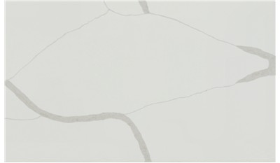 Calacatta Classique Quartz