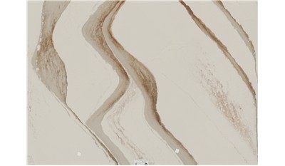 Brittanicca Gold Warm Quartz