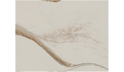 Brittanicca Gold Warm Quartz