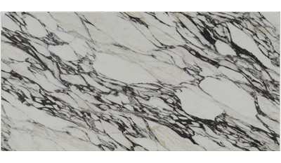 Calacatta Monte Quartz