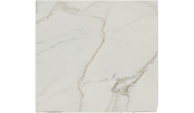 Vigil Compact Surface