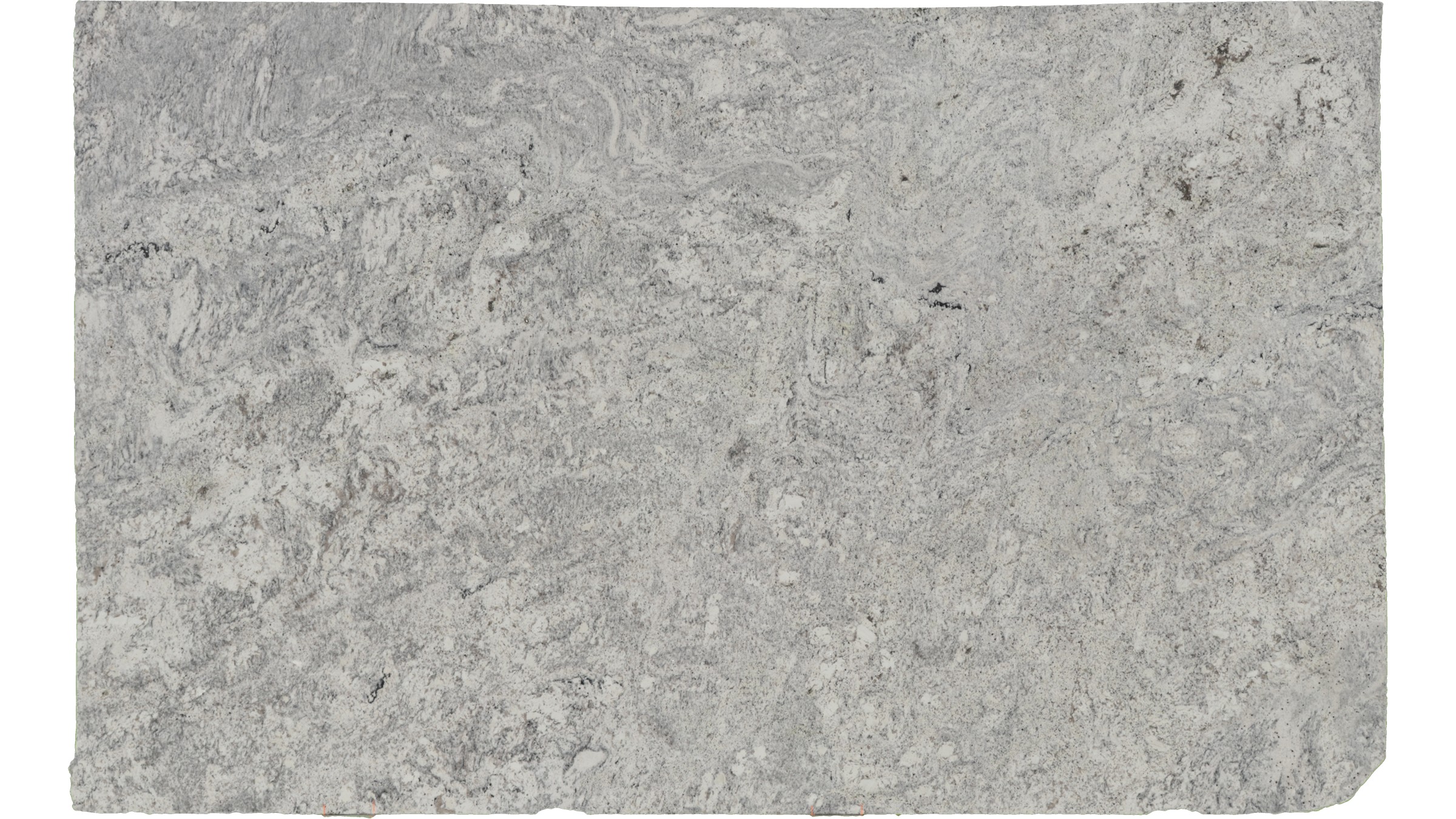 Salinas White Granite Slabs