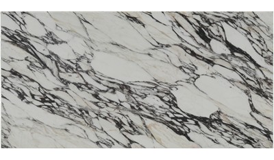 Calacatta Monte Quartz