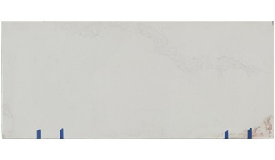 Calacatta Nuvo Quartz