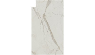 Vigil Compact Surface