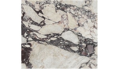 Calacatta Viola Extra Marble