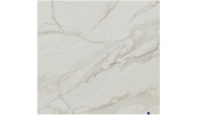 Vigil Compact Surface