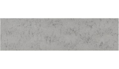 Atlantis Steel Quartz