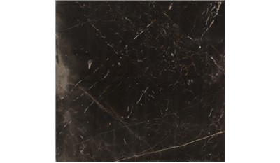Noir St. Laurent Marble