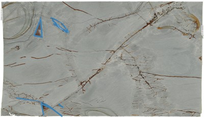 Blue Roma Quartzite
