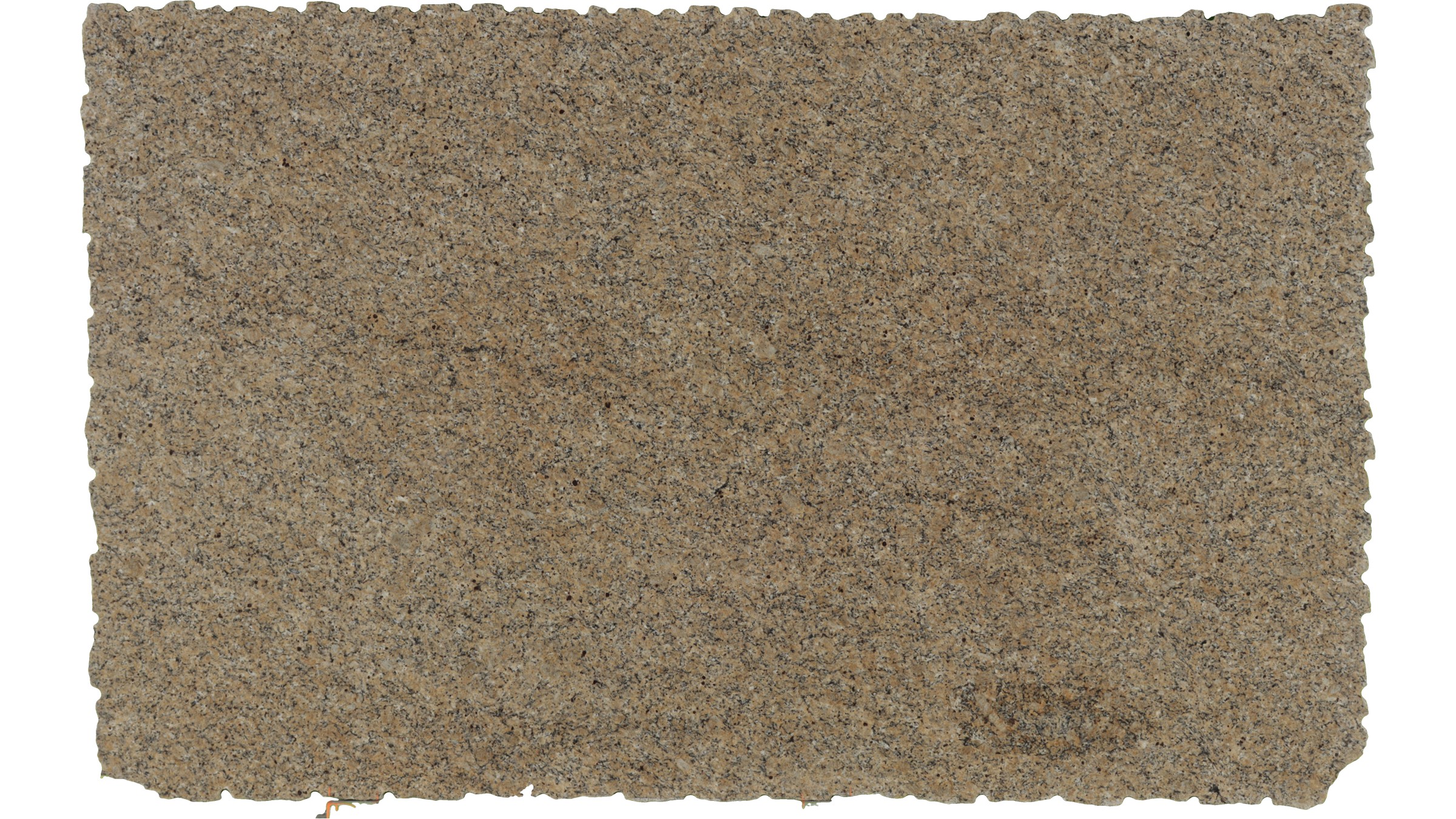 New Venetian Gold Granite Slabs