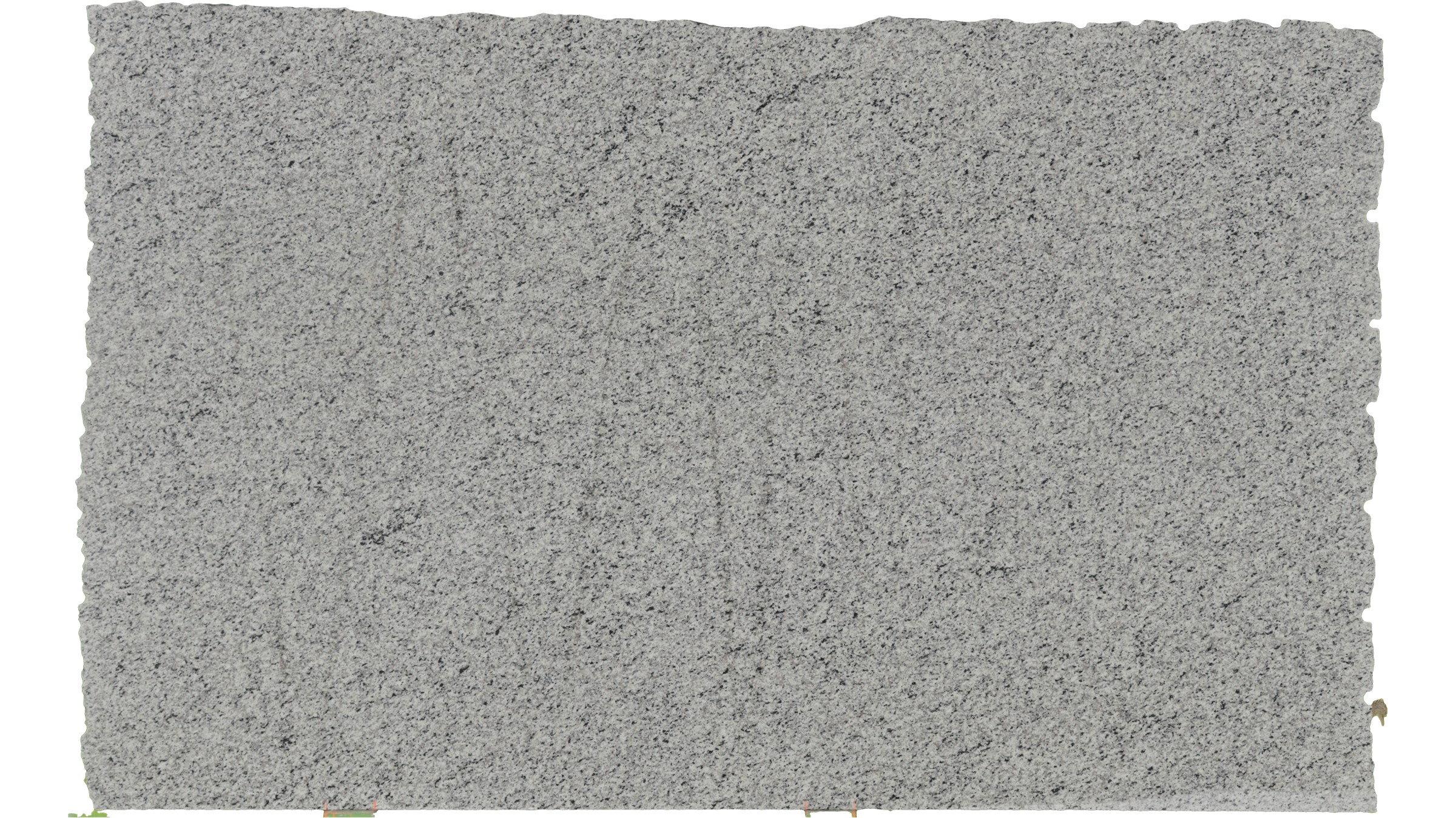 Luna Pearl Granite Slabs