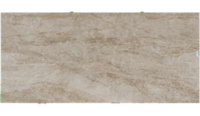 Taga Compact Surface