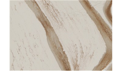 Brittanicca Gold Warm Quartz