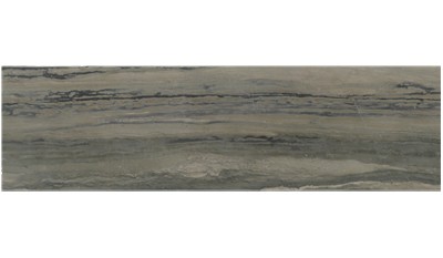 Galapagos Quartzite