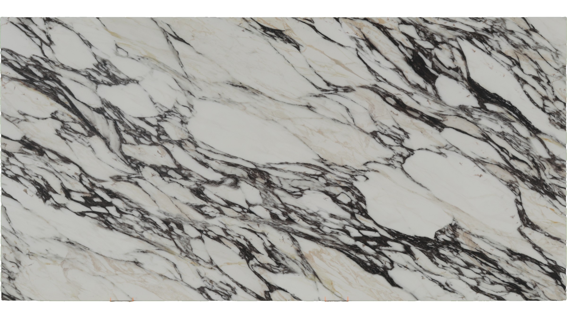 Calacatta Monte PCQ Quartz Slabs