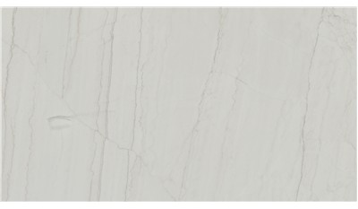 Neural Compact Surface