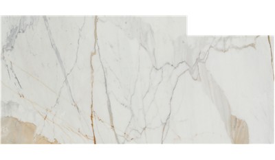 Calacatta Oro Classic Marble