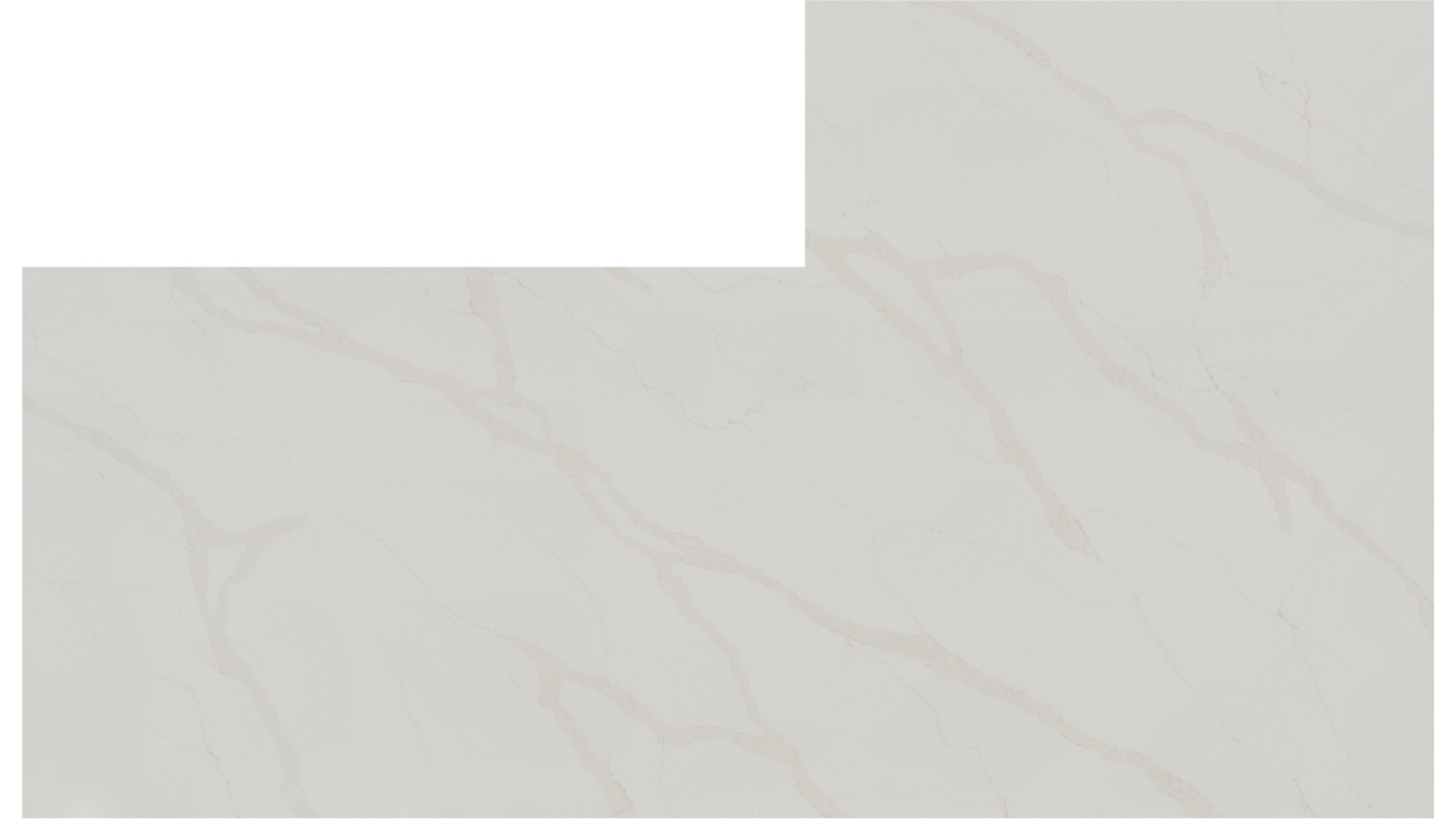 Calacatta Elysio Quartz Slabs