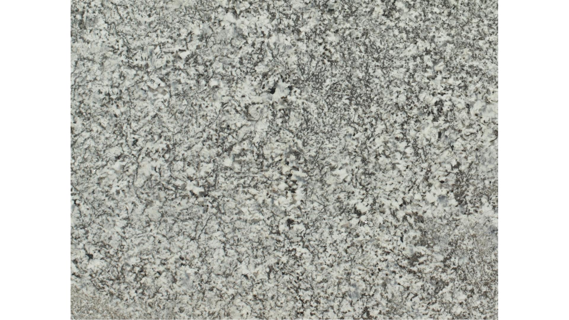 Saddle White 3 cm DalTile Natural Stone Slabs