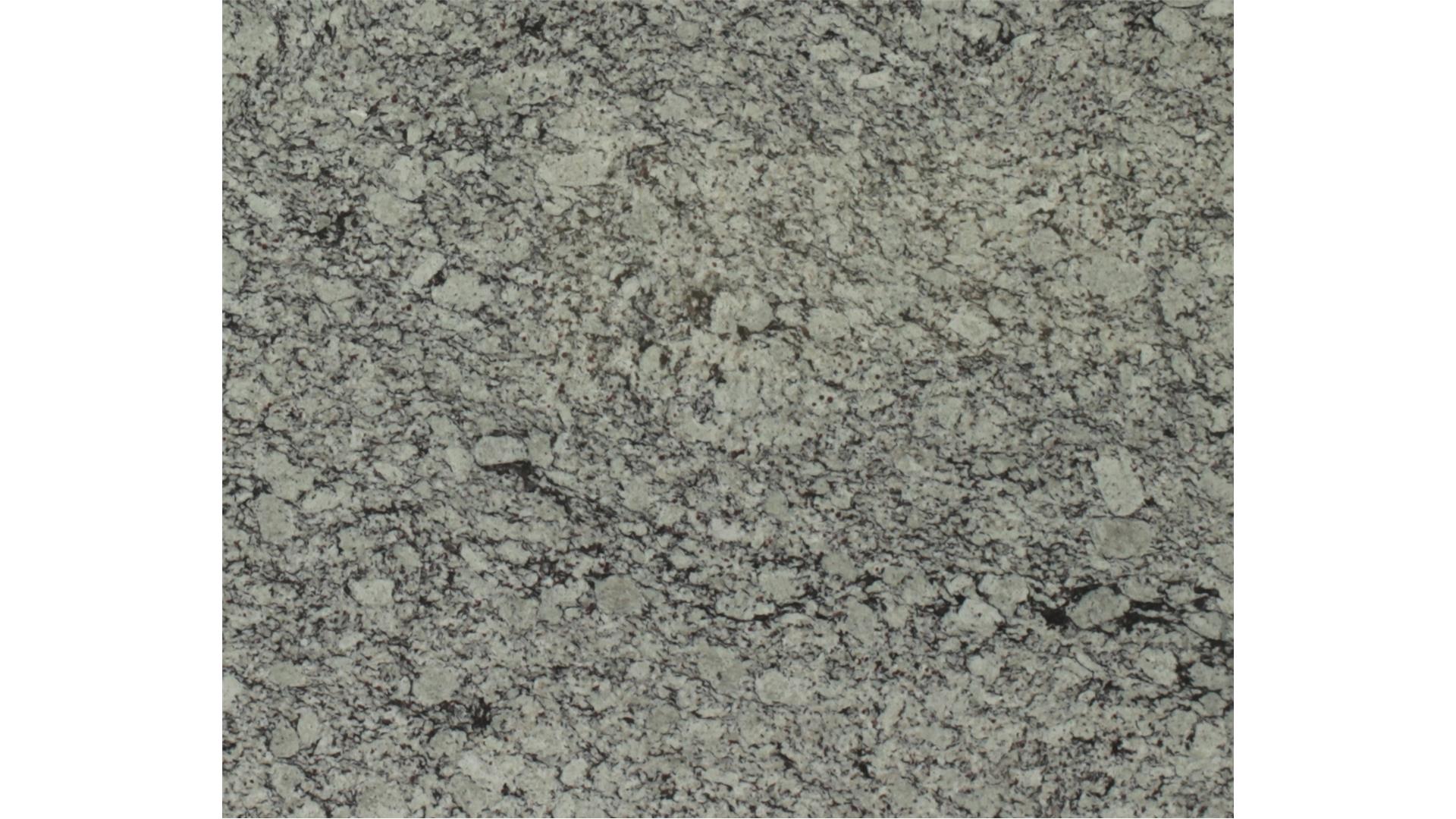 Ashen White 3 cm DalTile Natural Stone Slabs