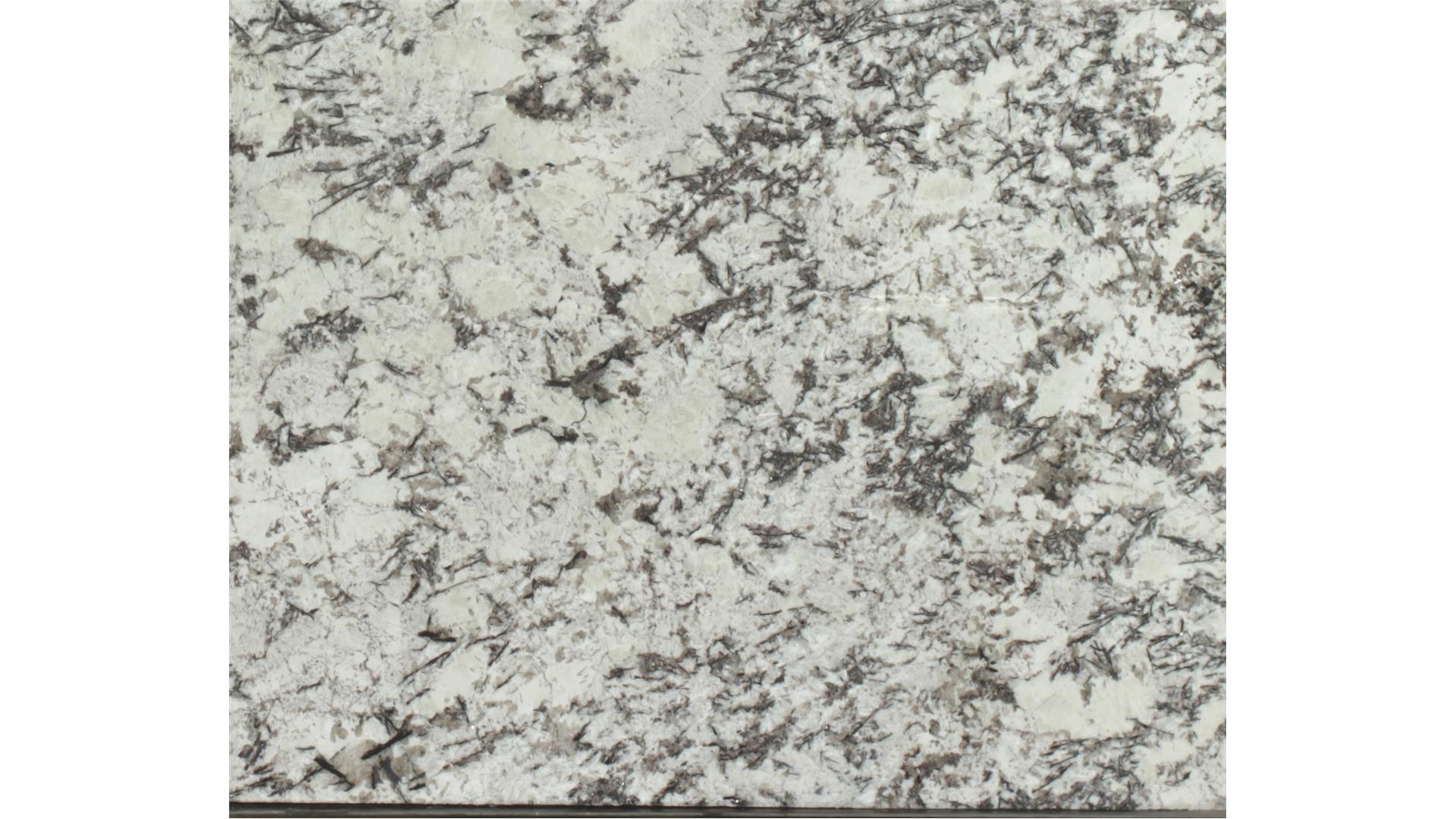 Delicatus White 3 cm MSI Natural Stone Slabs