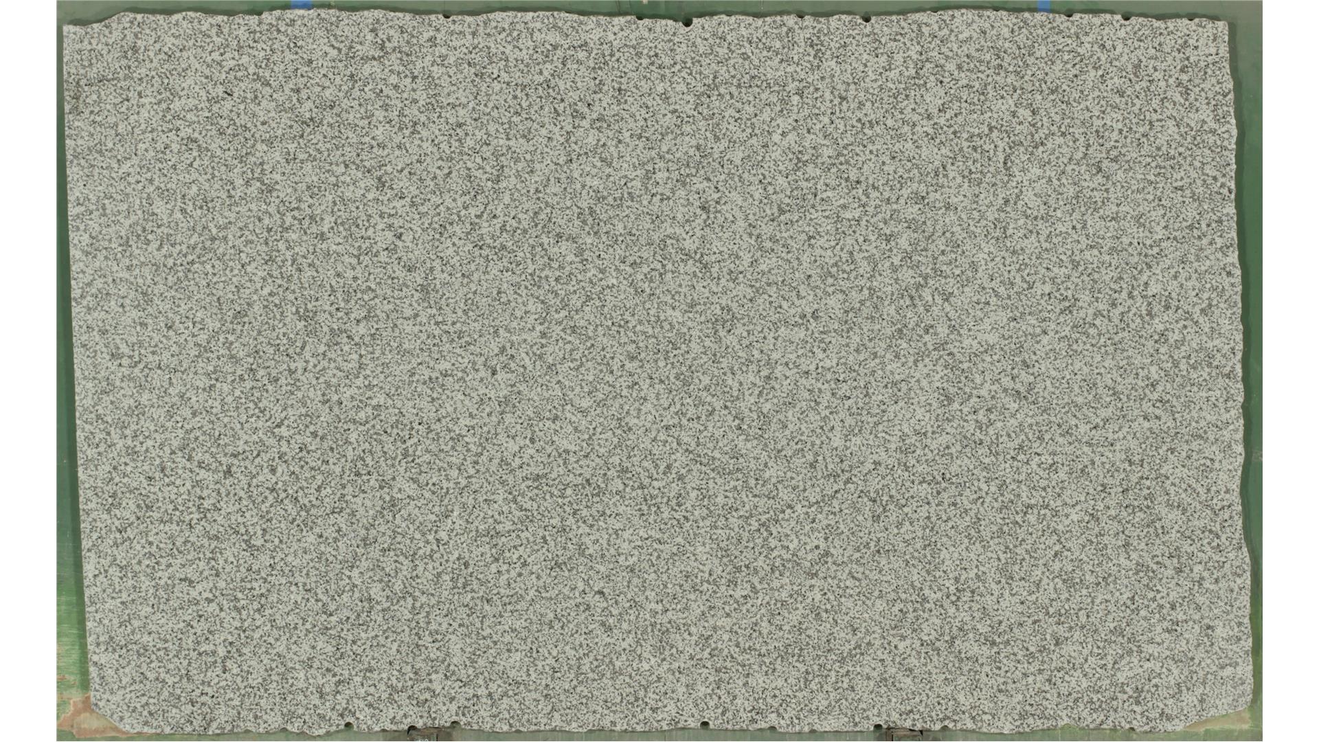 White Sand Dollar 3 cm Granite Slabs