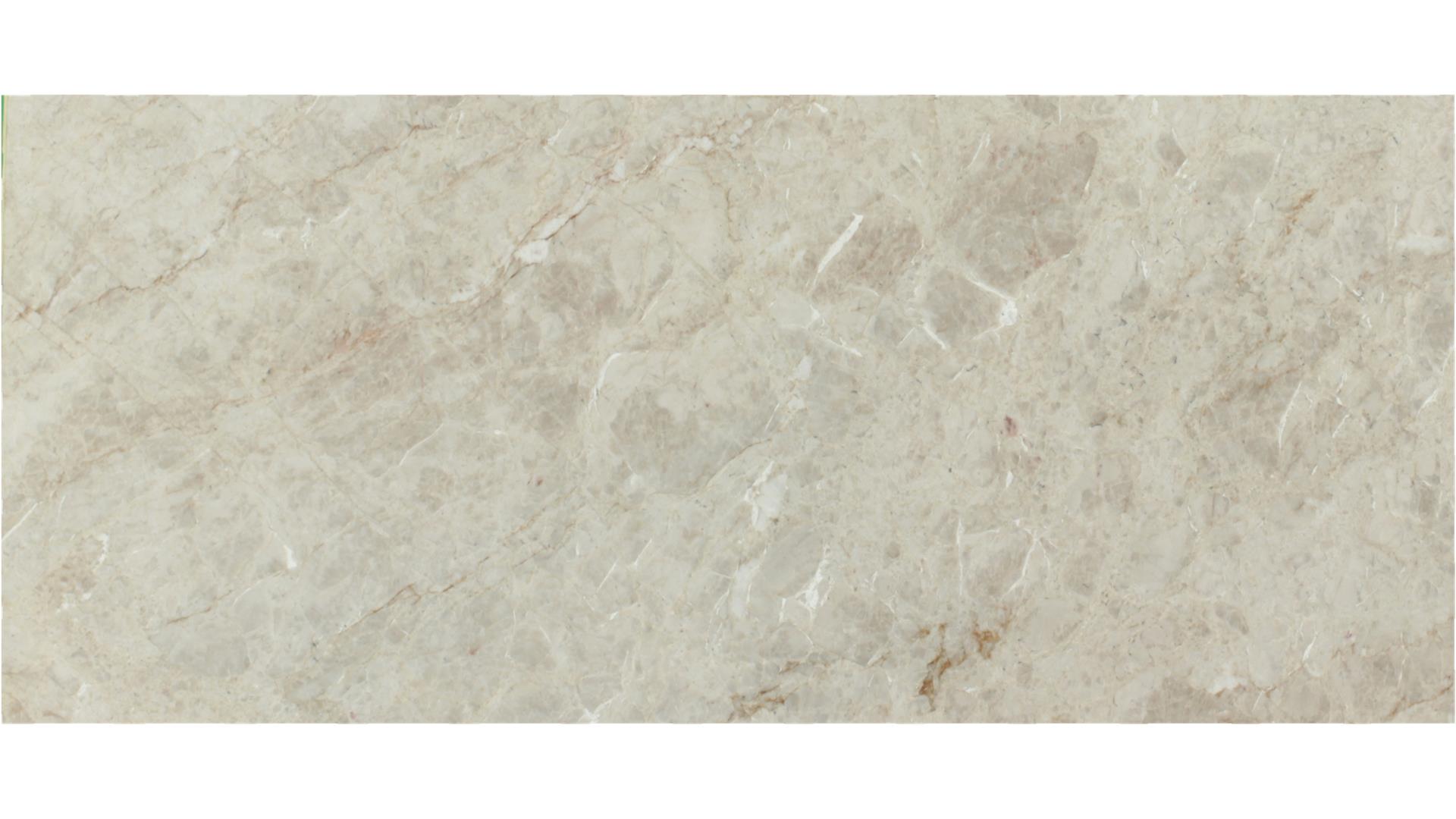 Savoie Quartzite 3 cm DalTile Natural Stone Slabs