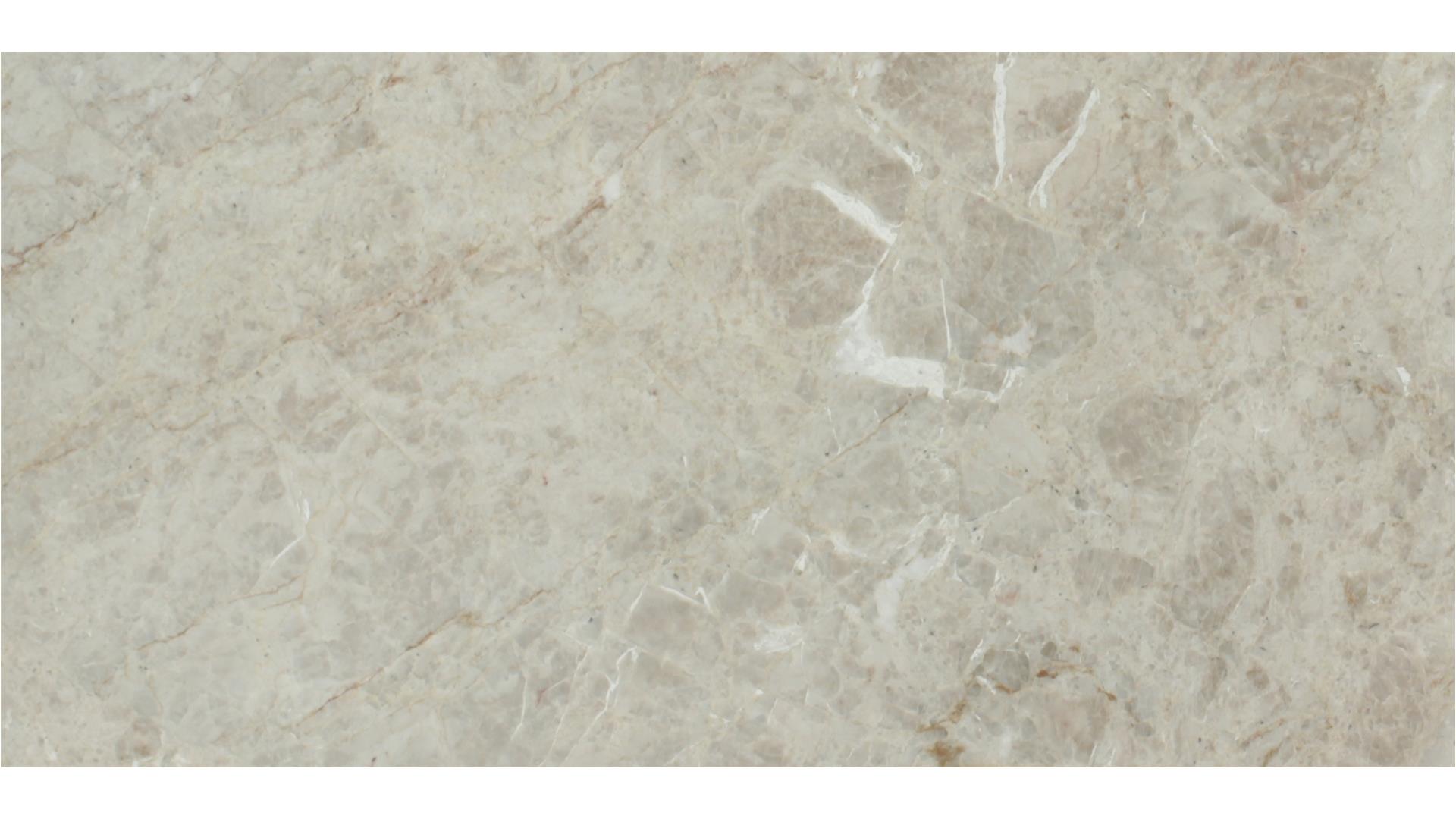 Savoie Quartzite 3 cm DalTile Natural Stone Slabs