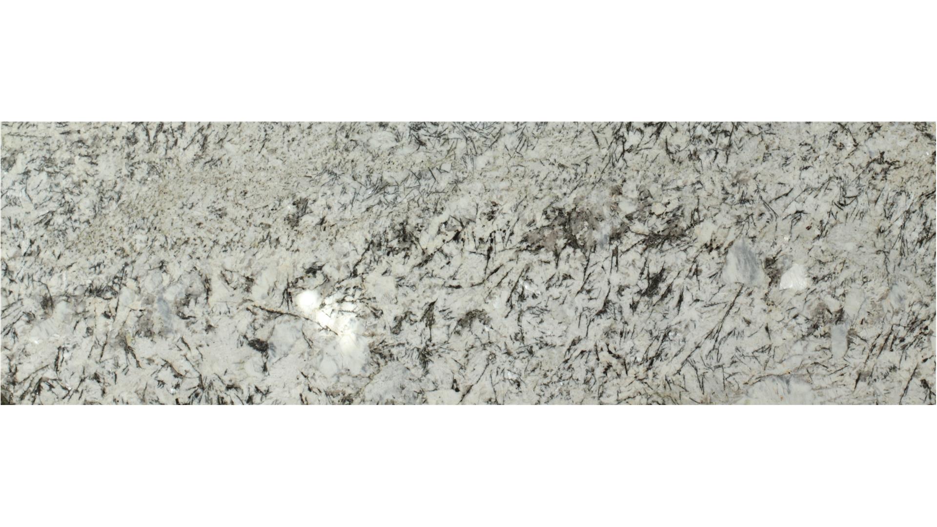 Rigel White 3 cm DalTile Natural Stone Slabs
