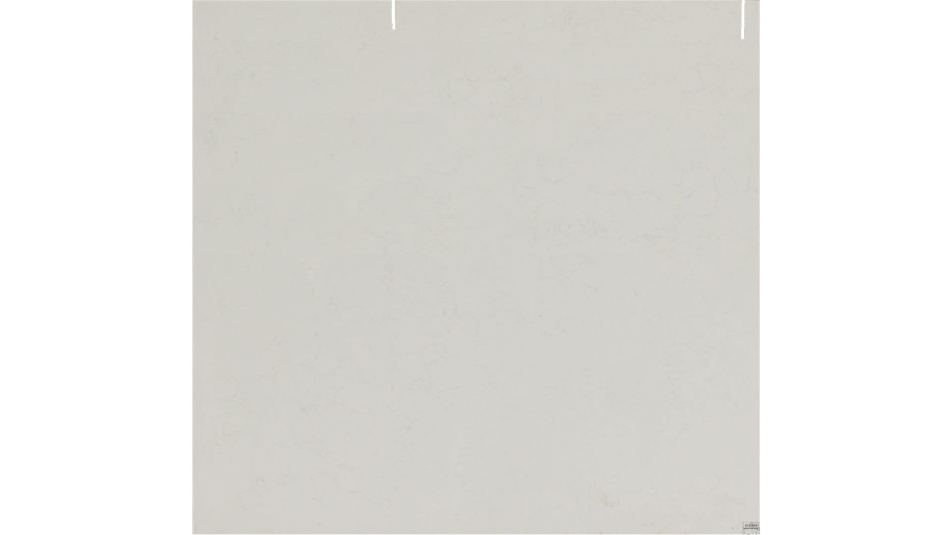 Aspen White Quartz Slabs