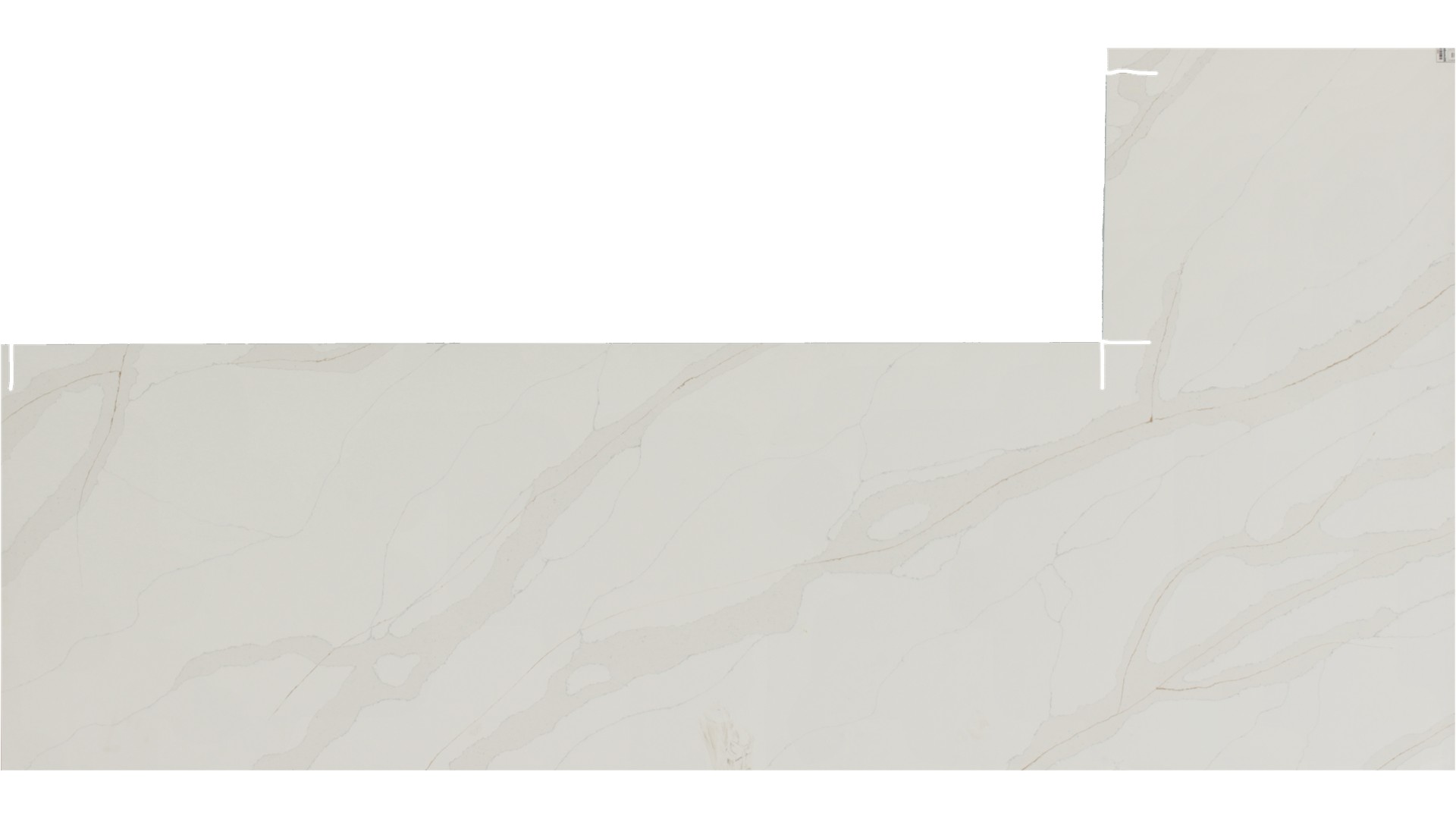 Mimosa Quartz Slabs