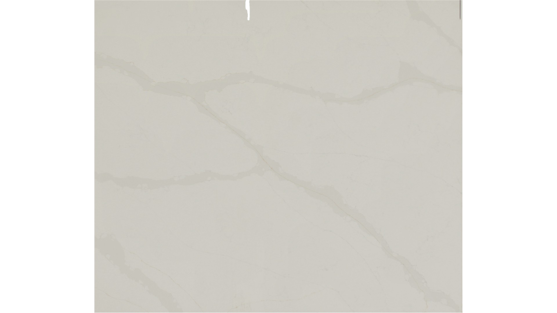 Calacatta Gaia Quartz Slabs