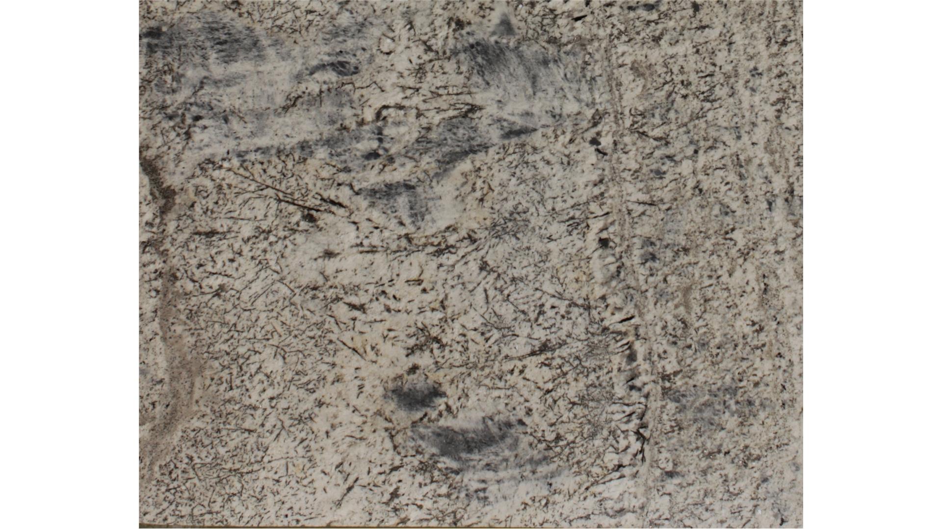 Blue Flower  All Slabs