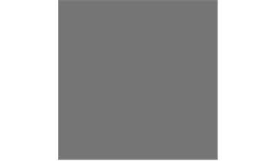 Gray Speckle