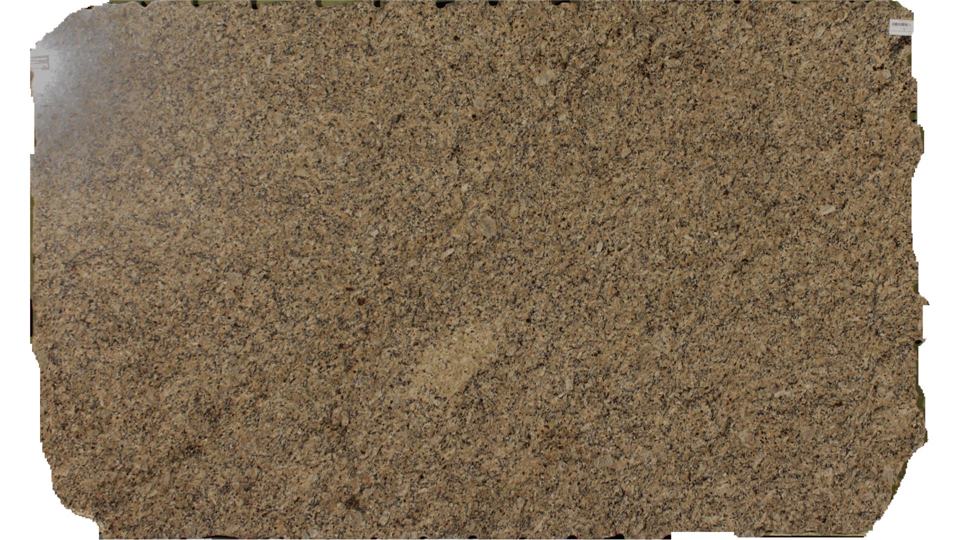 New Venitian Gold Granite Slabs